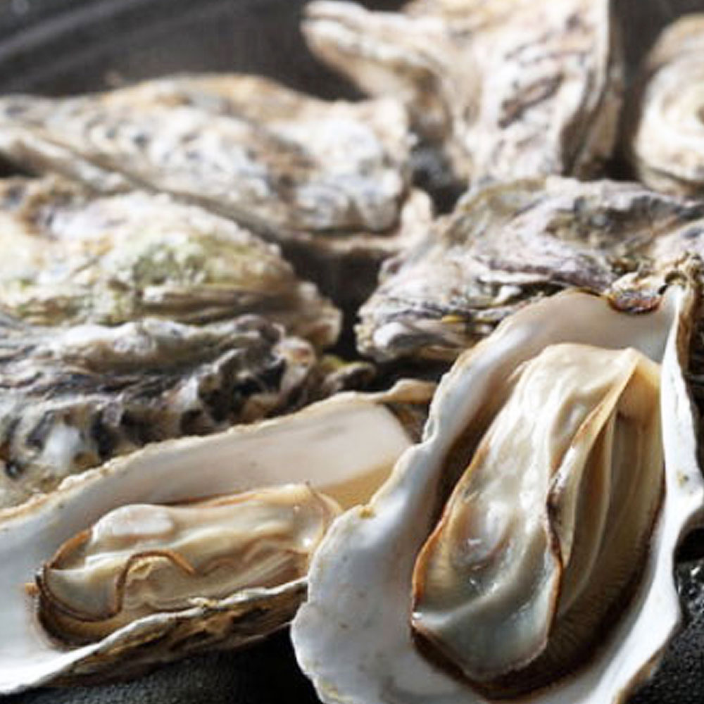 산지직송 제철석화5kg 통영석화 평일 당일출발 16,000원