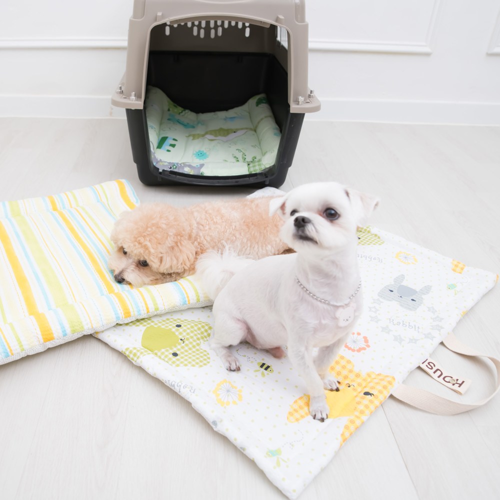 올마이펫 리플 강아지 휴대용피크닉방석 산책매트 21,900원