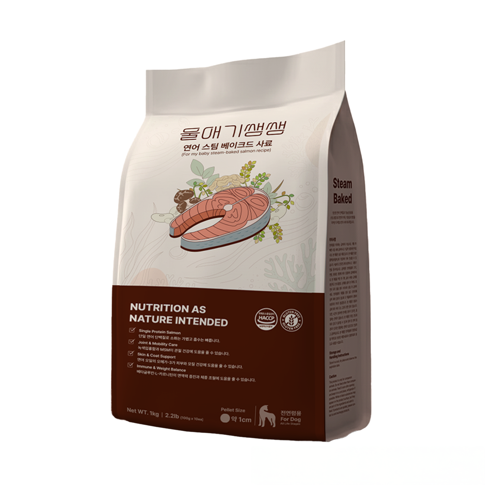 디어랩스 전연령 강아지 울애기쌩쌩 스팀베이크드 수제사료, 연어, 1kg, 1개 29,700원