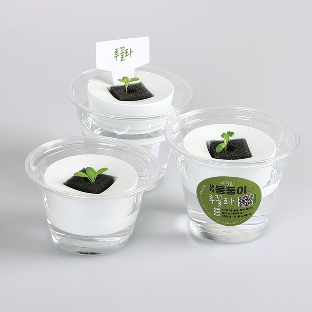 수경팜 새싹둥둥이 국내생산 발아체험 미니수경재배기 루꼴라 8,000원