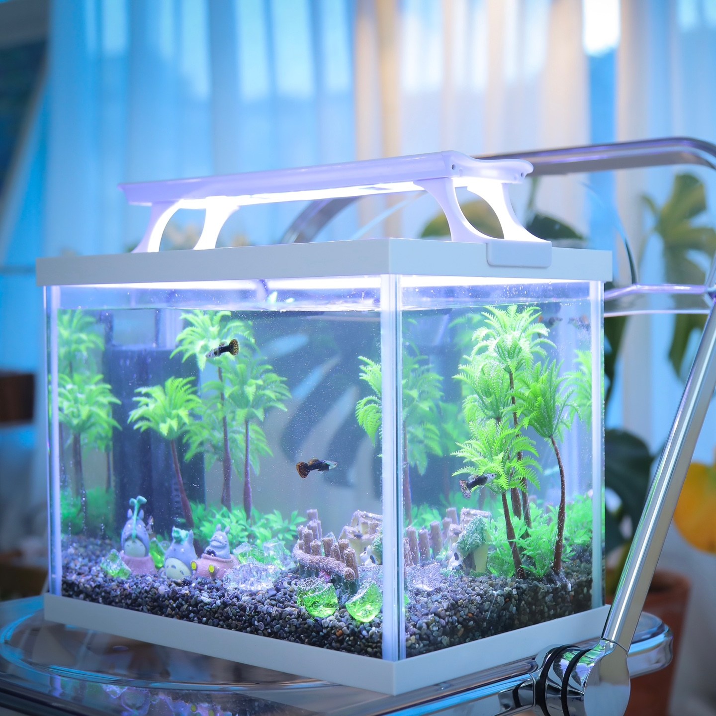 토토로 어항 풀세트 조명포함 초보자용 풀세트 어항, 1개 87,400원