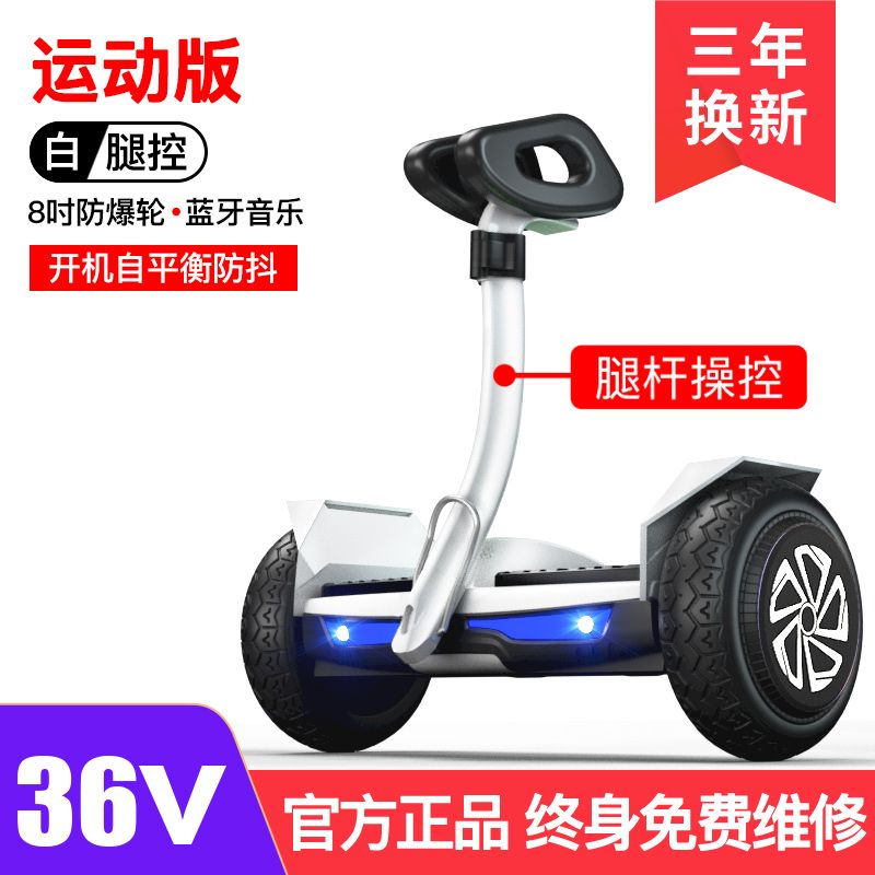 전동호버보드 카트 두발 균형 전동휠 투휠 퀵보드 출퇴근 300,000원