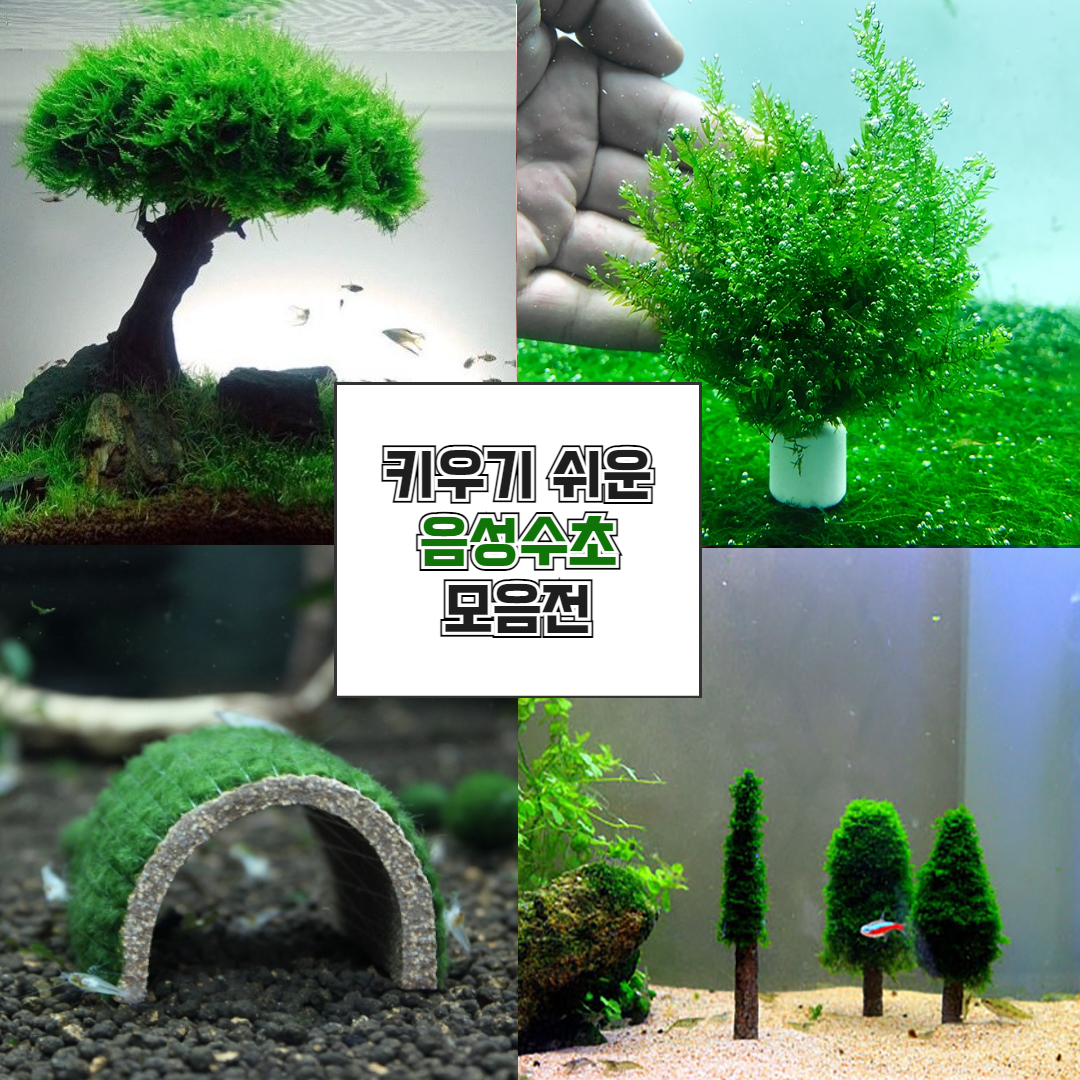 키우기 쉬운 어항 모스 음성수초 초보 구피 새우 은신처 놀이터 장식품 6,800원