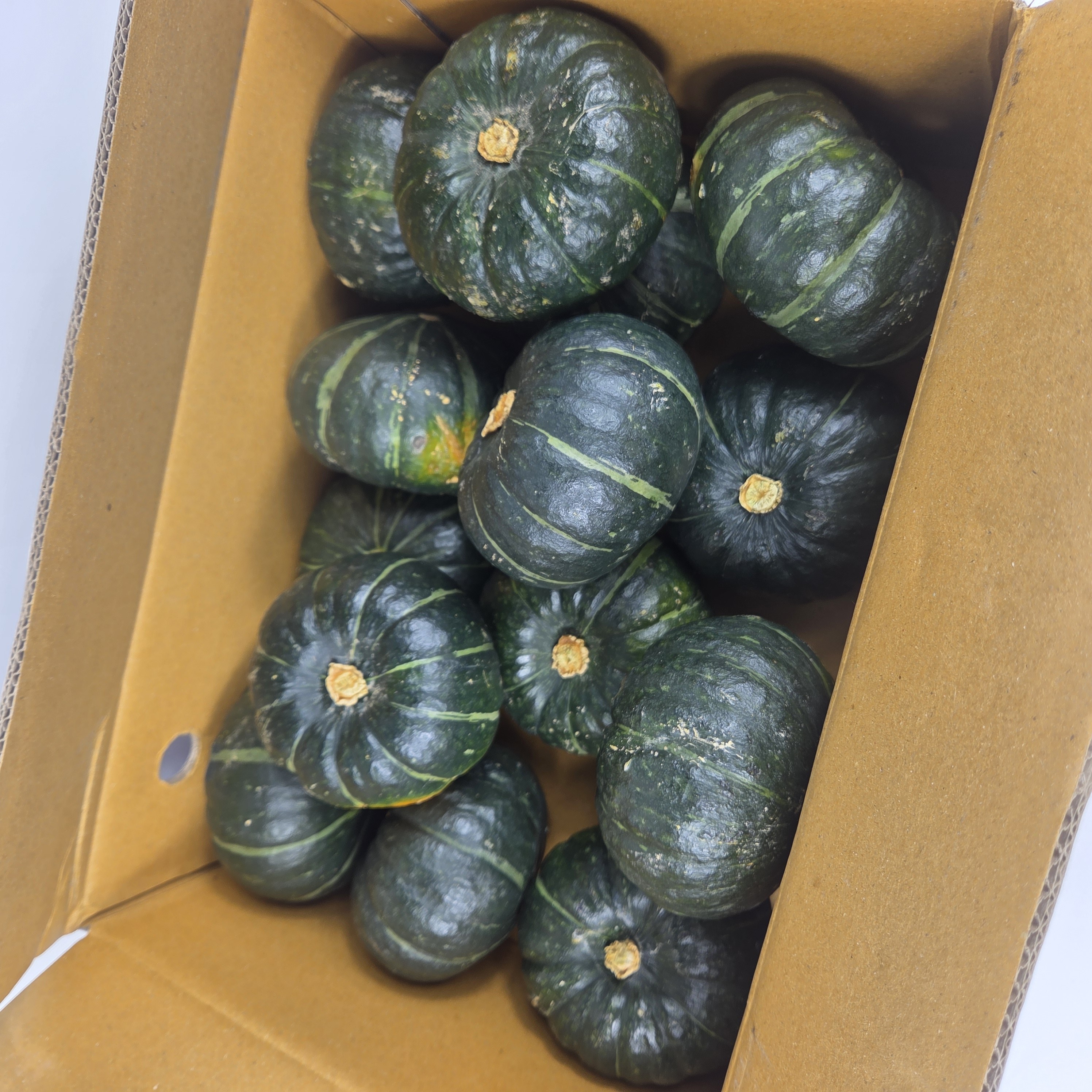 고당도 달콤하고 속이 알찬 국내산 제주 미니단호박, 1박스, 3kg 24,900원