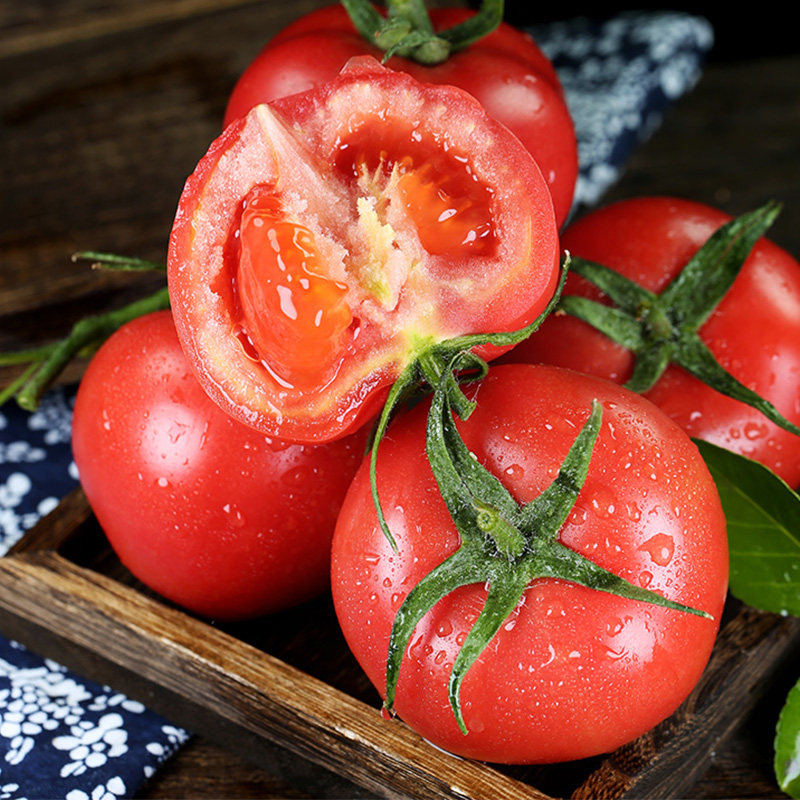 [초강력할인]청년농부 새콤폭발 정품 산지특선 완숙토마토, 1박스, 5kg 19,800원