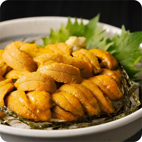 [보양식 우니] 해녀가 직접 따 올린 자연산 성게알 / 국산 성게알 생물 / 당일손질, 아이스팩 포장, 1개, 국내산 자연산 보라성게알 200g 71,000원