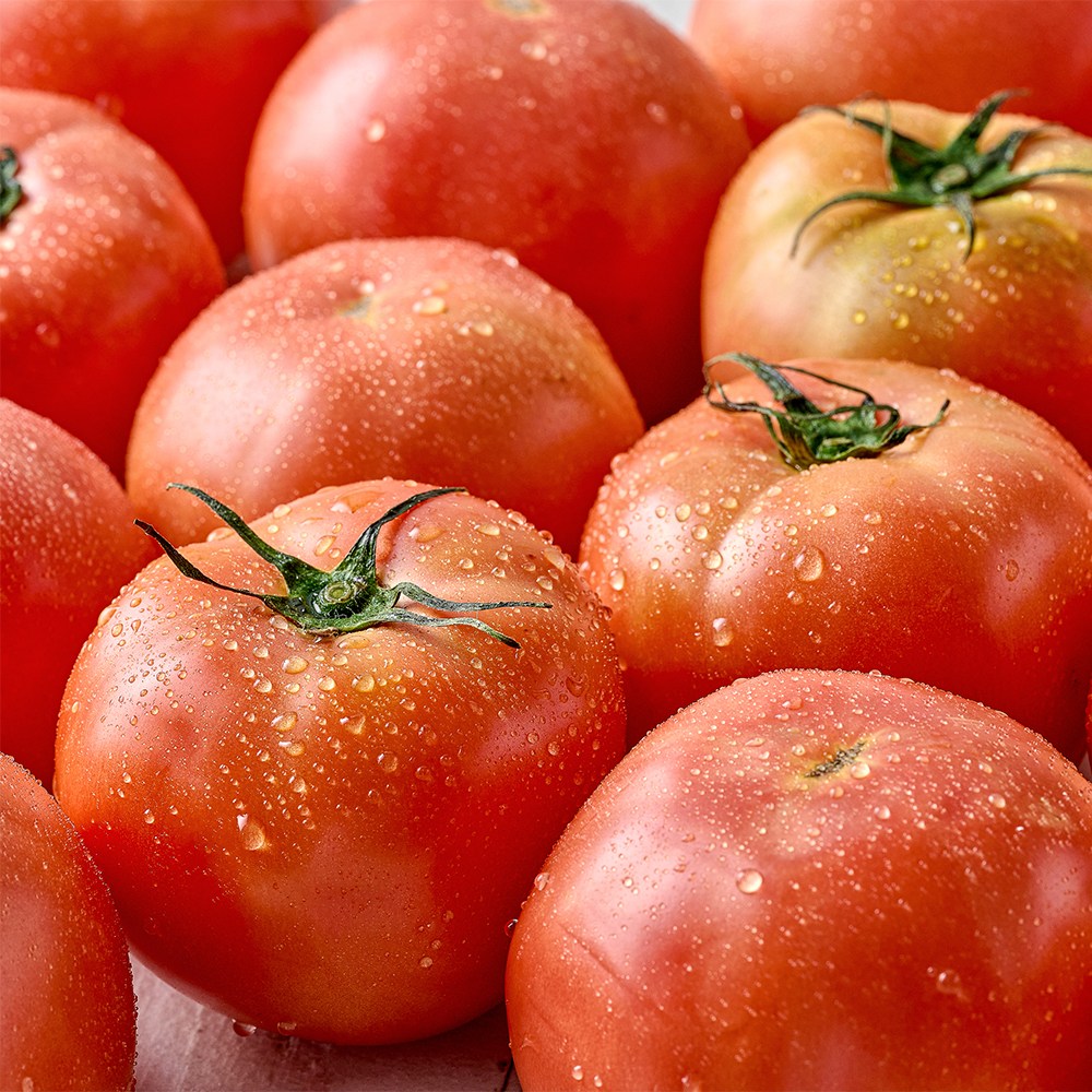 레브 무농약 완숙 토마토 중과대과 혼합 21,800원