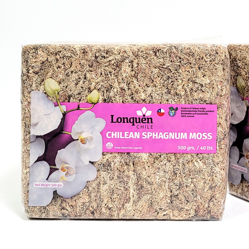 수태 150g 500g 압축 천연 이끼 몬스테라 호접란 풍란 난수태 칠레산 20,000원