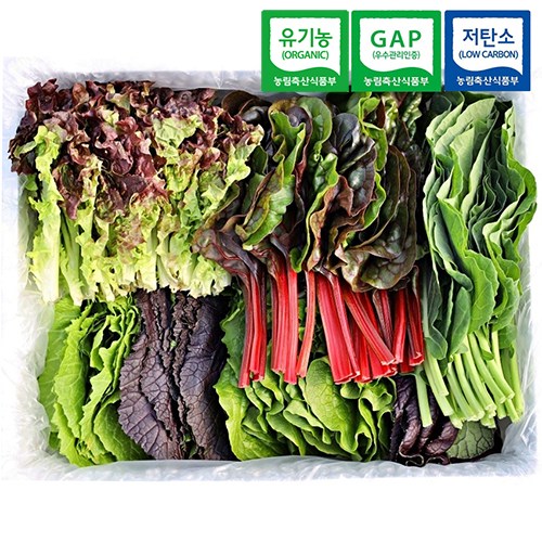 국내산 산지직송 유기농 모듬 쌈채소 샐러드채소 쌈야채, 1개, 모듬 쌈채소 1kg 17,500원