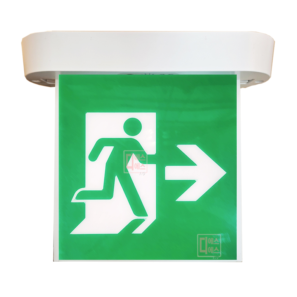 리더스테크 피난구유도등 천정형 소형 국산정품, 1개, 단면)우방향 38,300원