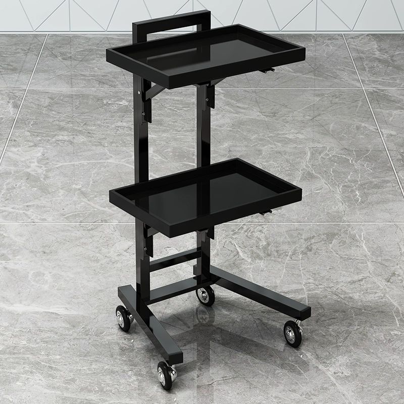 접이식 트롤리 미용실 웨건 스테인리스 카트 트레이 선반 피부샵 반영구 스텐카트 수납 블랙, 검정색 아크릴 57,900원