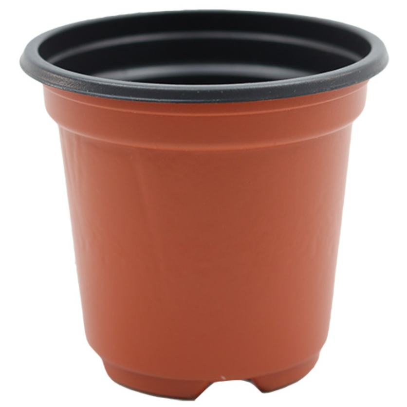 이색포트 120 (12cm) * 300개 묶음 연이네리틀팜, 300개, 현재가 51,900원