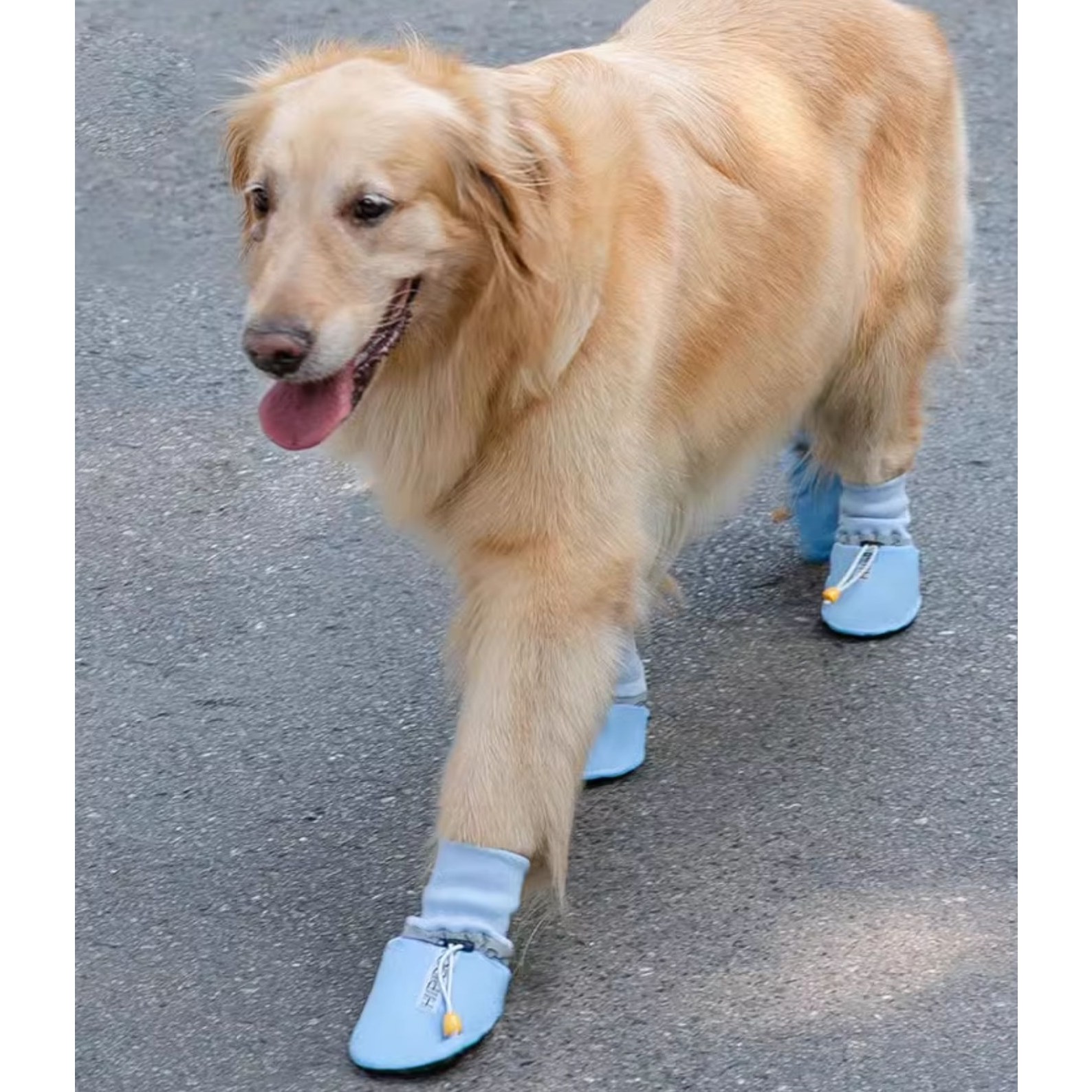 AC5625 애완동물 반려동물 겨울 강아지 애견 반려견 장화 방수 미끄럼방지 사계절용 스트링 신발 슈즈 부츠 야외 산책용 등산용 19,430원