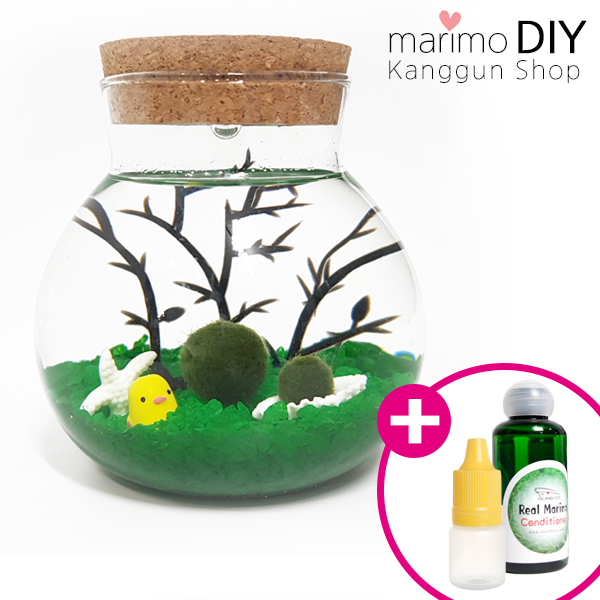 LED어항 350ml세트-마리모 1.5cm 유리자갈 그린 diy 키트, 1개 13,900원