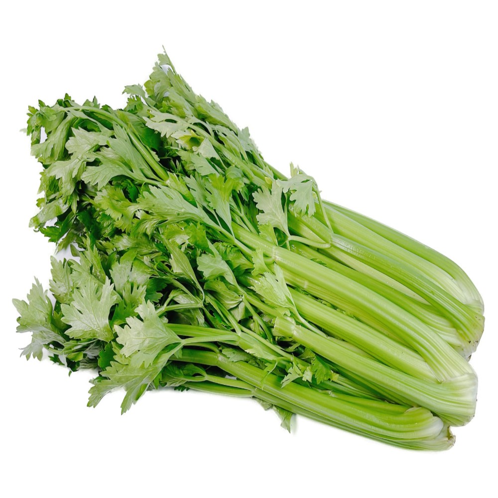 일등농수산 산지직송 전남 광양 특품 샐러리 9,100원