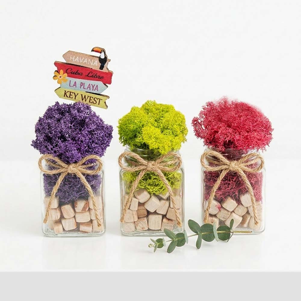 꽃순이 공기정화 스칸디아모스 이끼 화분 인테리어소품 13,110원