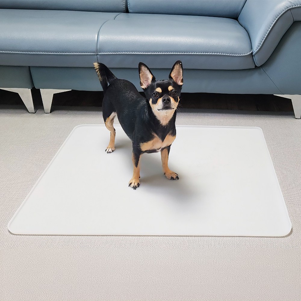 플리다스 착붙 실리콘 배변매트 논슬립 배변판 투명 대형 19,800원