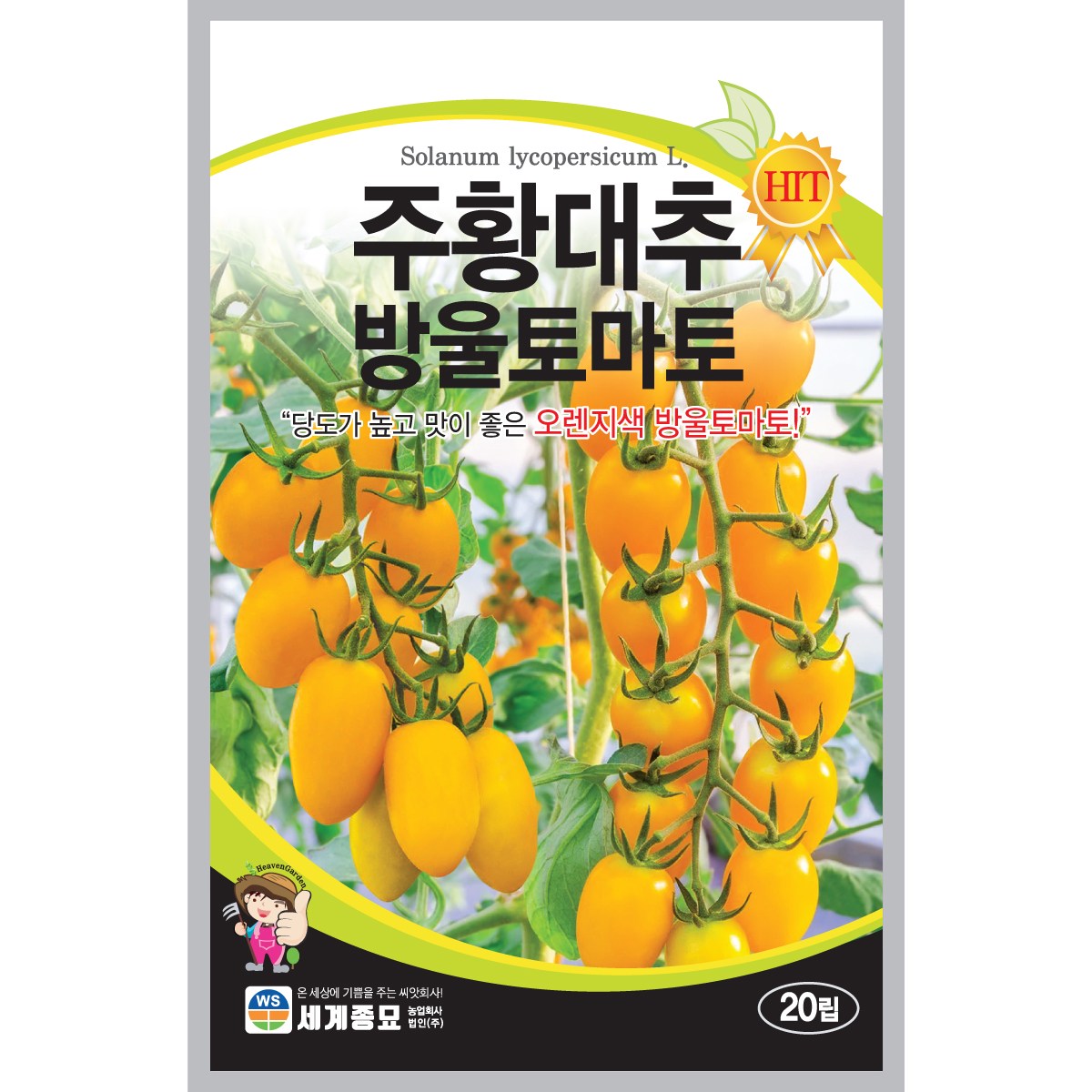 세계종묘 주황대추방울토마토 20립, 1개 5,440원
