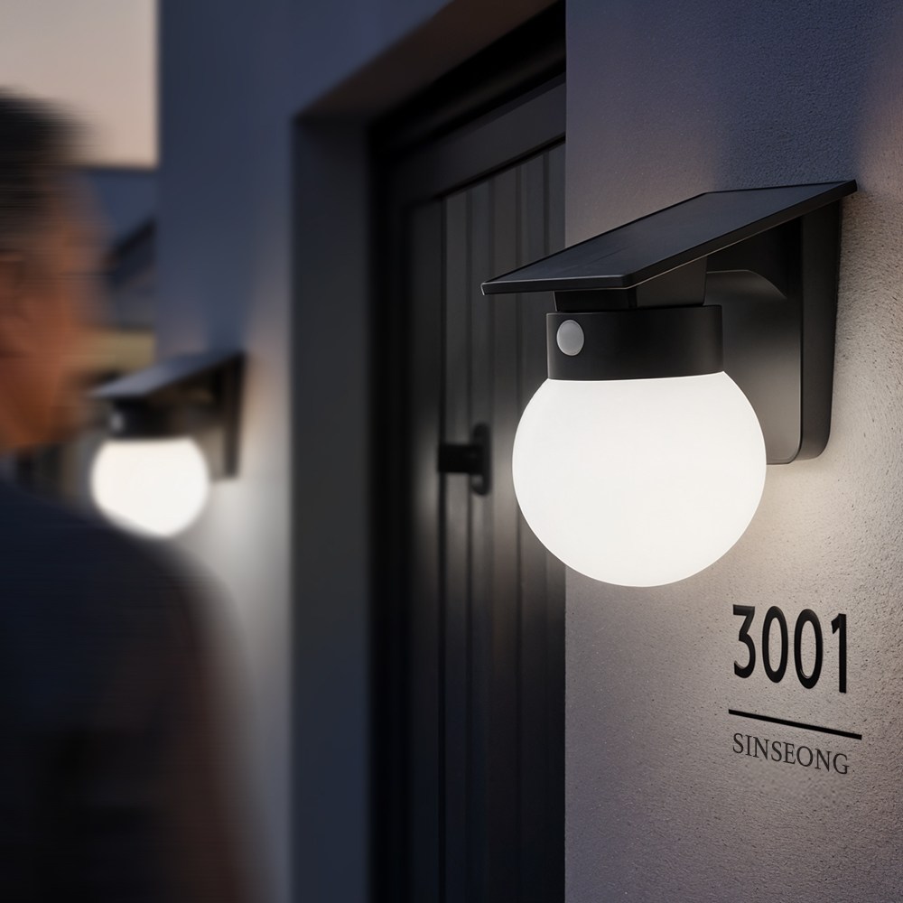 신성나라 태양광 센서등 벽등 태양열 조명등 야외 정원 조명 LED 야외 보안 가로등 센서등 글로브, 흰빛 28,000원