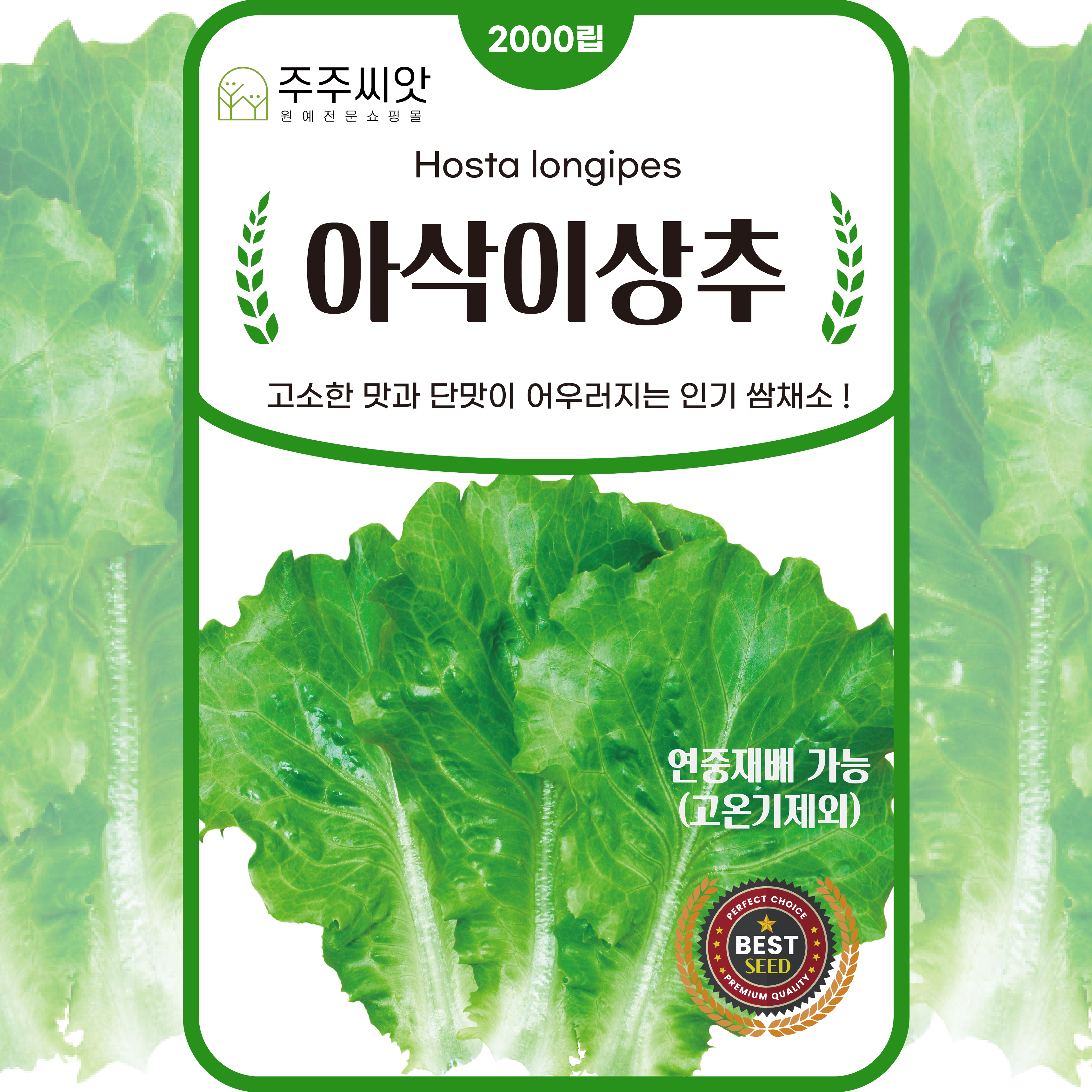 아삭이상추 씨앗 2000립 생채 유럽 상추 종자 씨, 1개 2,000원