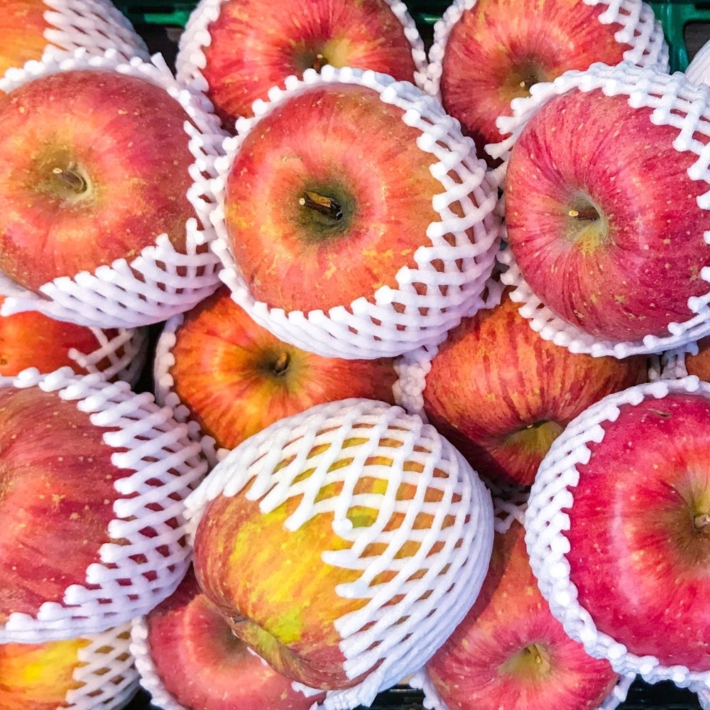 맛없으면 무료반품 정담아 경북 청송 꿀사과 가정용 28,900원