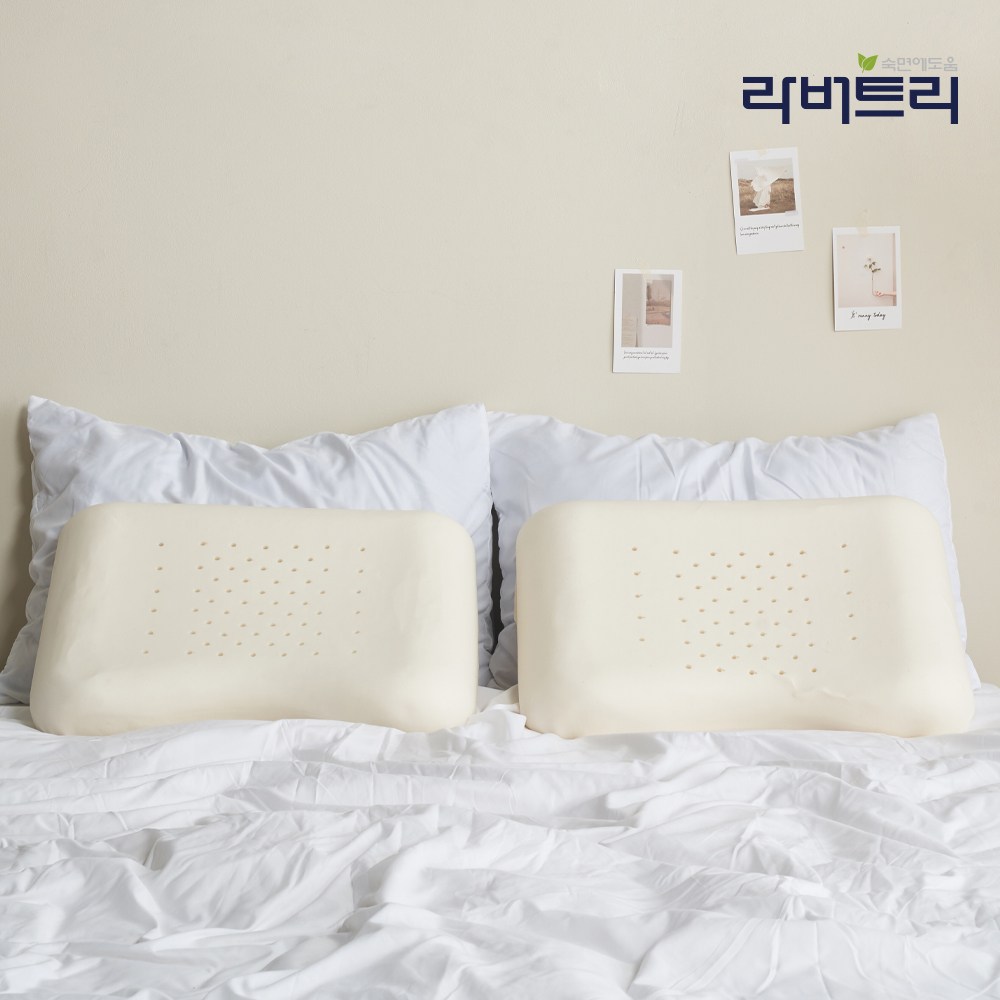 라버트리 천연라텍스 땅콩 베개 폼 1+1 62,900원