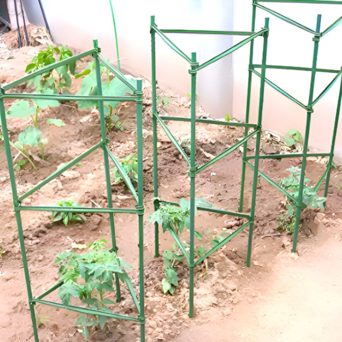 삼각 텃밭지지대 넝쿨식물지지대 오이 방울토마토 고추 덩쿨 지지대 3세트 29,990원