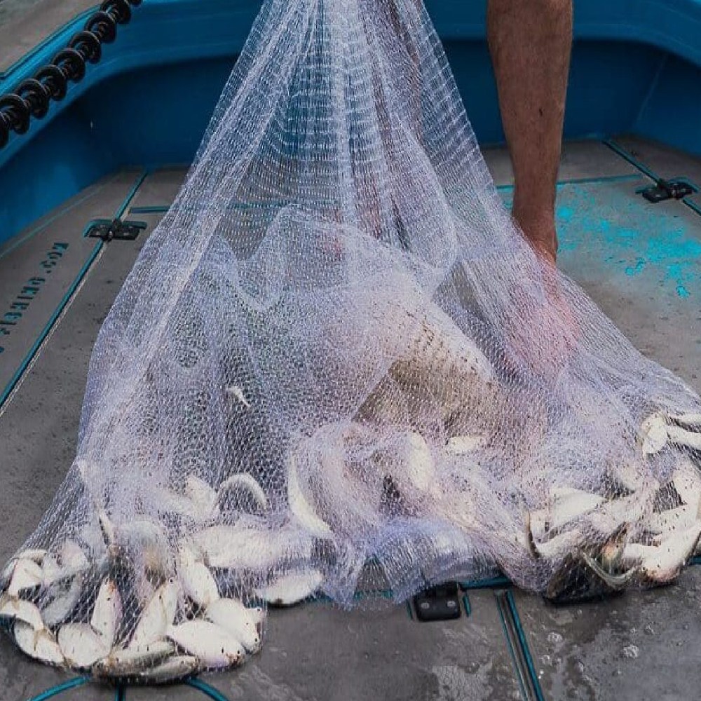 비엠몰 경심 투망 바다 민물 그물 낚시용품 32,000원