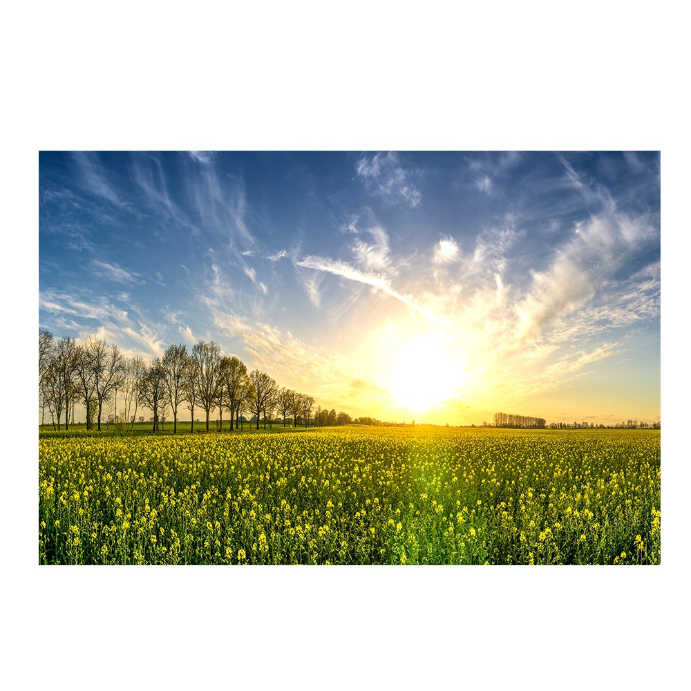 일출 태양 황금빛 풍경 태양 생기 그림 풍수 인테리어 캔버스 액자, 05 황금빛일출 51,500원