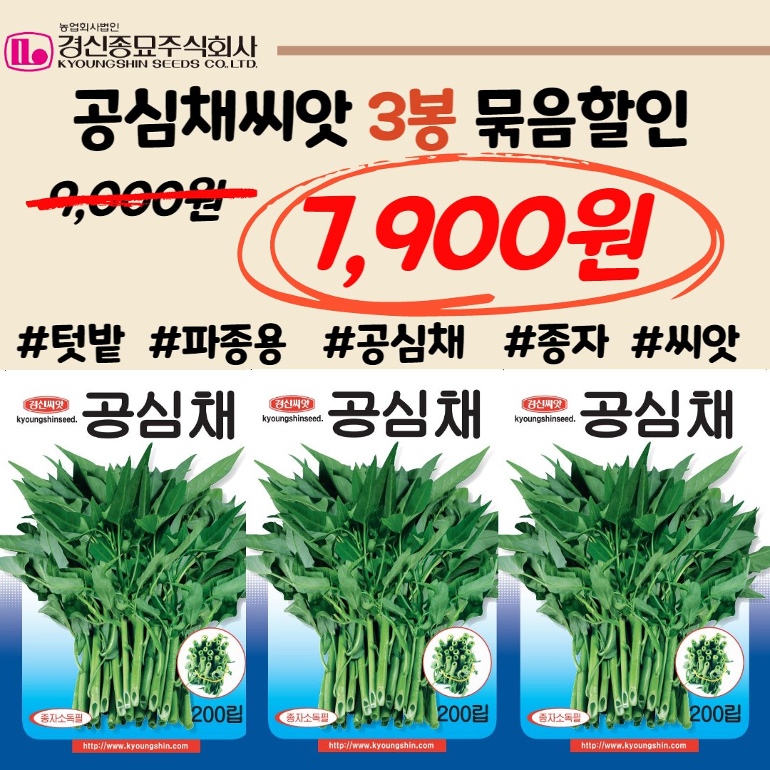 공심채씨앗 묶음할인 파종용 종자 씨앗 경신종묘 7,900원