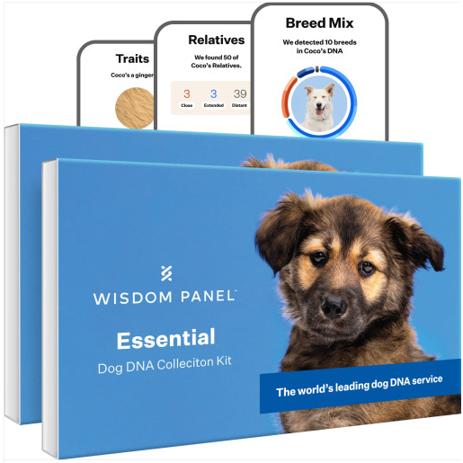 위즈덤패널 반려견 강아지 유전자 DNA 검사 키트 믹스 품종 유전병 확인 (등록부터 결과 번역까지 대행) 175,750원