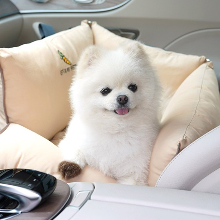 패리스독 쁘디 꿀잠 카시트(캐리어겸용) 3종(색상/택1) 51,470원