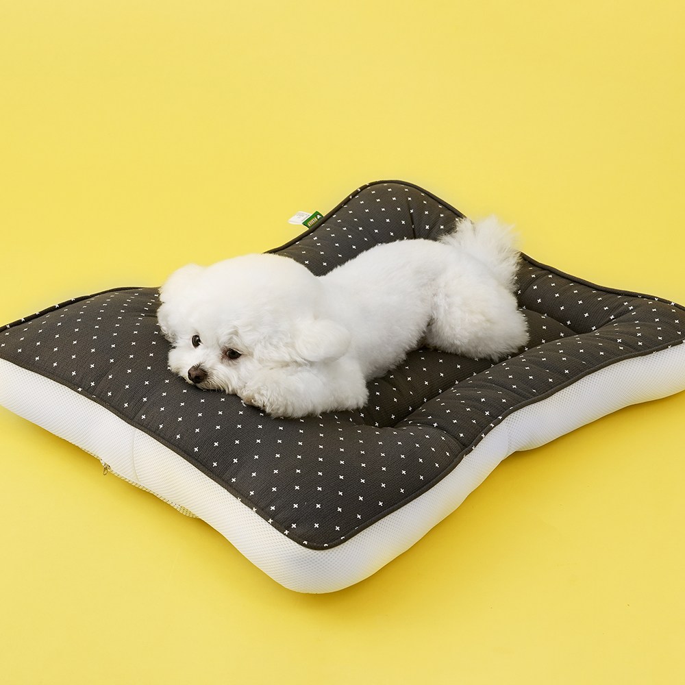 페스텝 사계절커브 2중누빔 강아지 마약방석 올그레이 42,500원