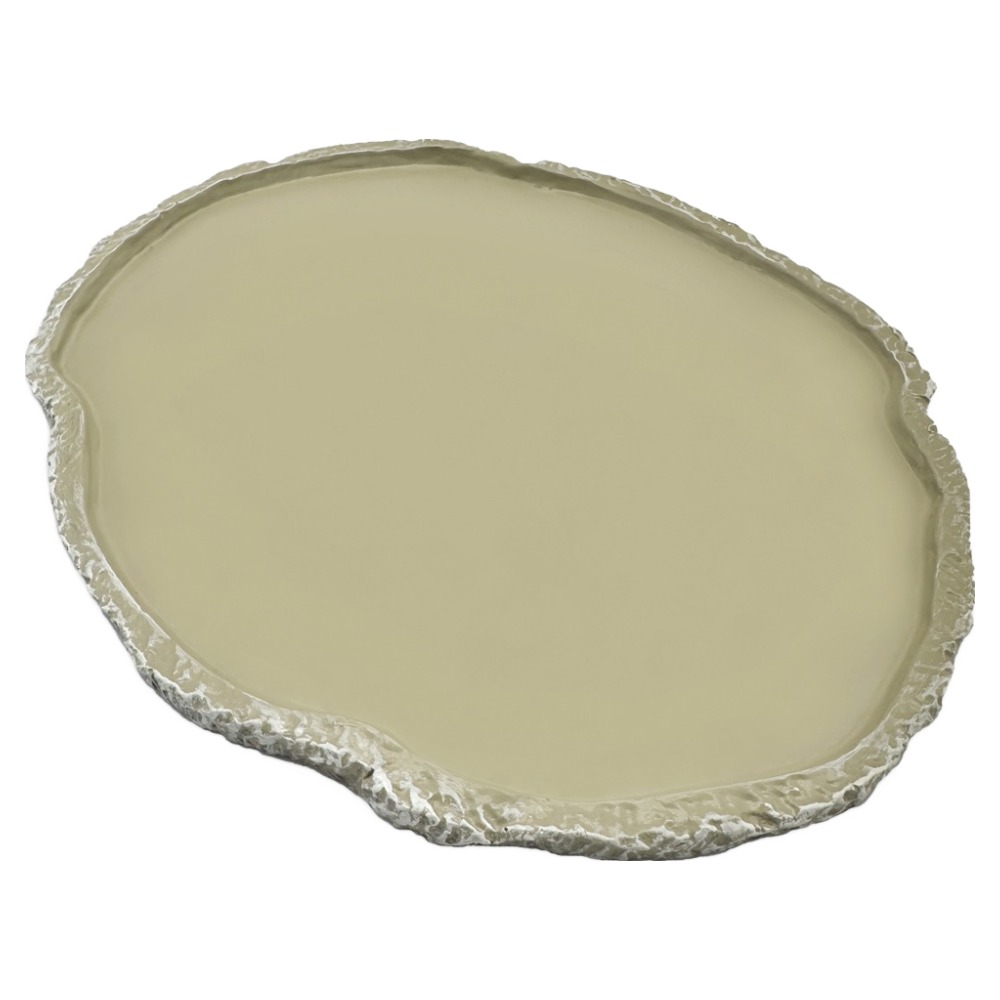 노모이펫 파충류 양서류 레진 먹이접시 플랫 특대형 NS-13, 1개, 혼합색상 5,500원