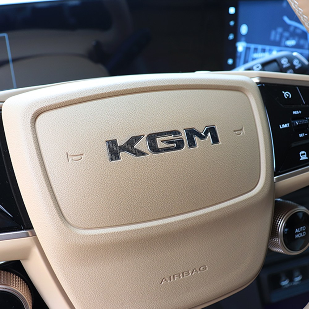 [비브랜드] 액티언 2세대 엠블럼 꾸미기 로고 데칼 익스테리어 스티커 (호환상품) 12,000원