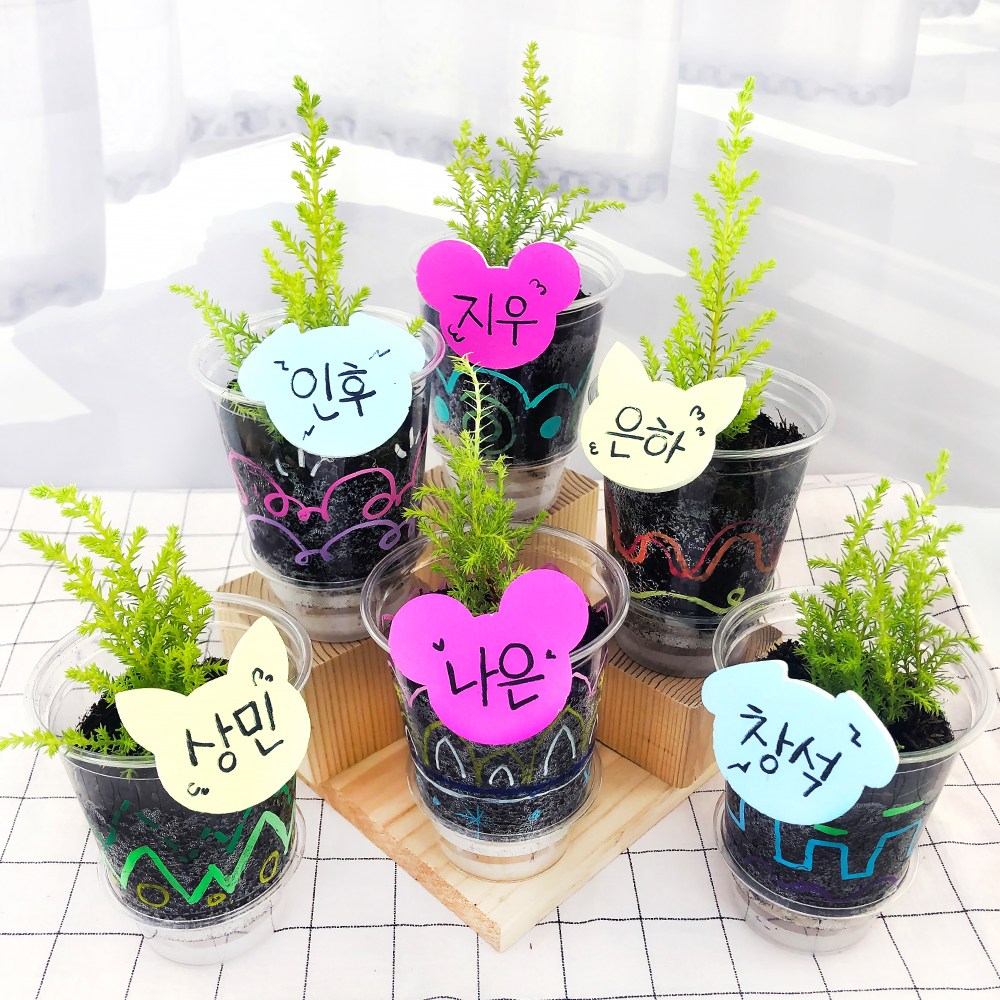 오렌지e몰 교과서에 나오는 허브 율마 가꾸기 6인 관찰일지 포함 18,000원