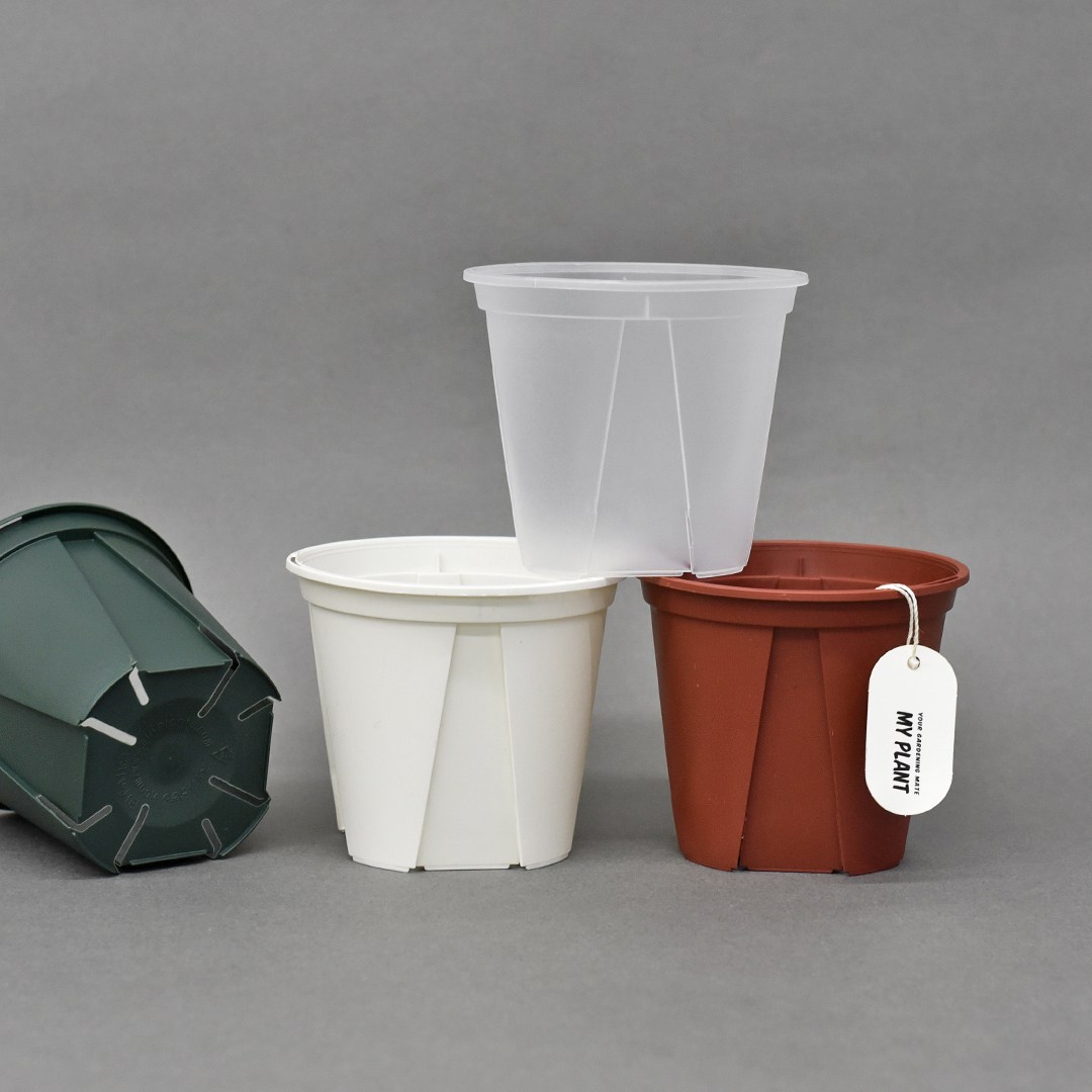 마이플랜트 카네야 슬릿 화분, 투명 320원