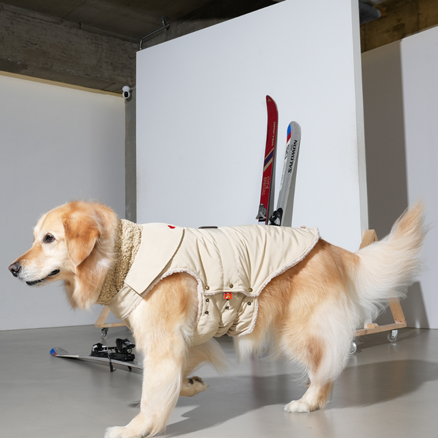 (4XL-5XL) 퍼피갤러리 하트 트렌치 패딩 코트 대형견옷 리트리버옷 제라미펫 69,000원