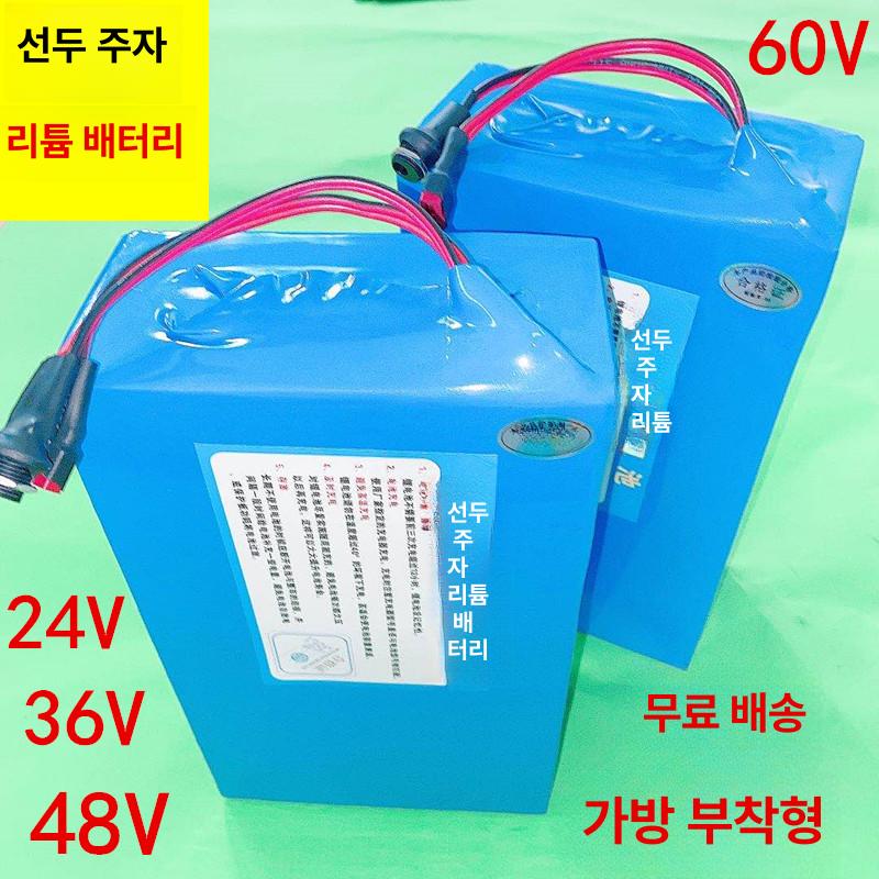 Hailong 전기 자전거 배터리, 24V, 10ah, 79,700원