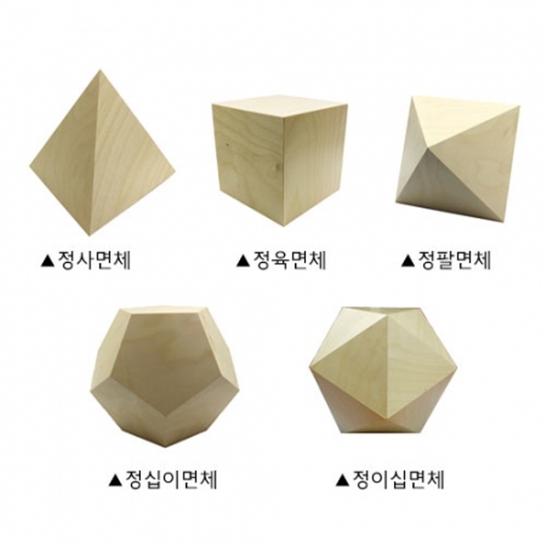 [온교육] 목재 정다면체 SET(전시용) 1,080,000원