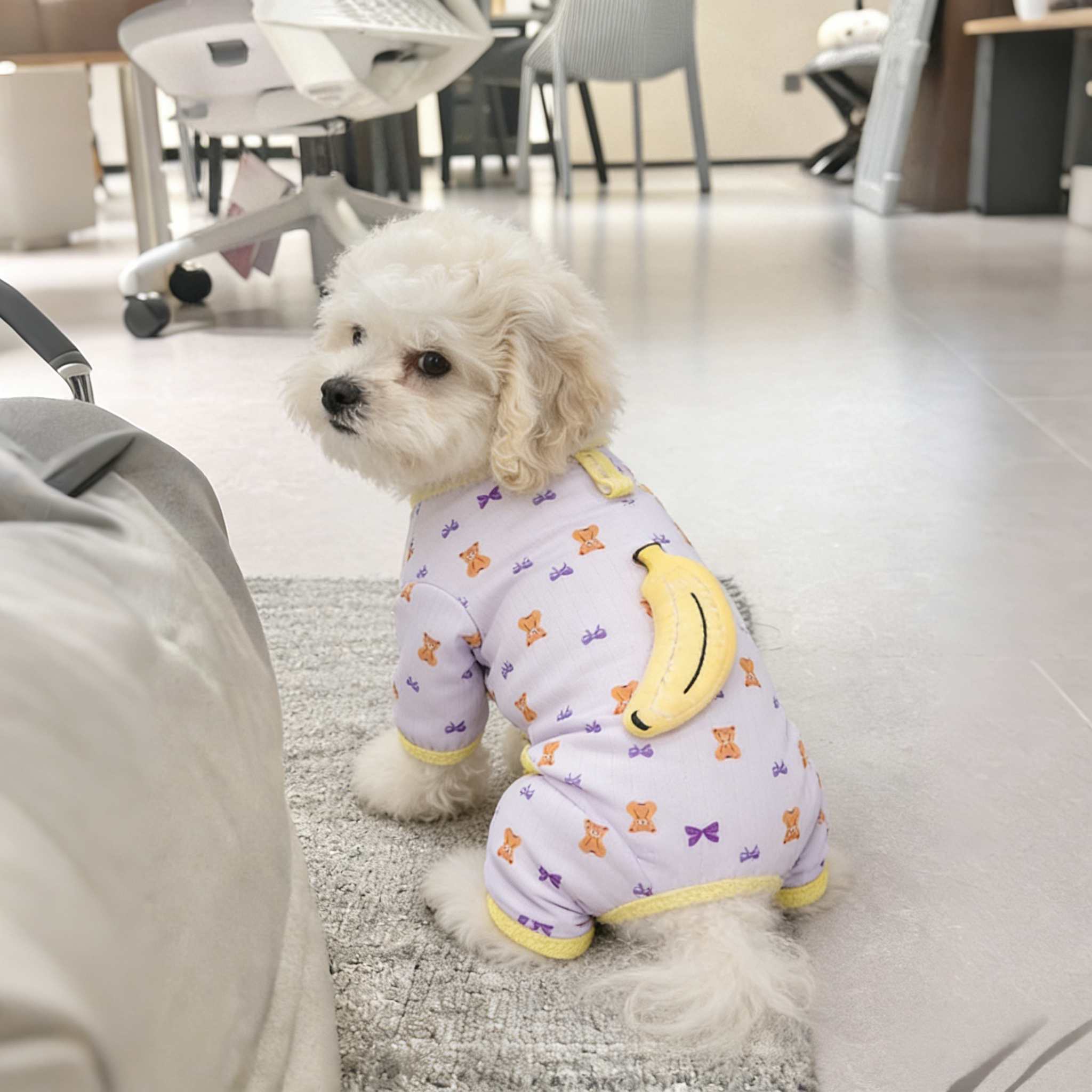 강아지 사계절 올인원 잠옷 순면 내복 실내복, 1개, 자주색 8,900원