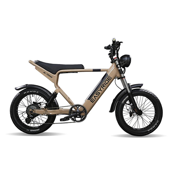 이지라이드 올터레인 ALLTERRAIN 전동자전거 48V 500W 15Ah 전기자전거 완조립+사은품 2,190,000원