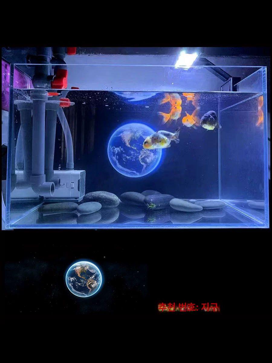 어항시트지 수조 장식 백스크린 시트, 현재가 27,960원