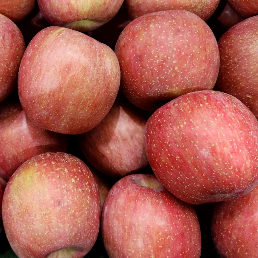 고당도 청송사과 단단한 부사사과 가정용 선물용, 1박스, 3kg 16,800원