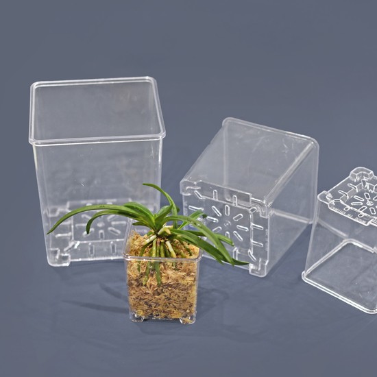 마이플랜트 큐브 플라스틱 화분 받침 세트 인테리어 사각 투명 다육이 분갈이 미니 화분 5,150원