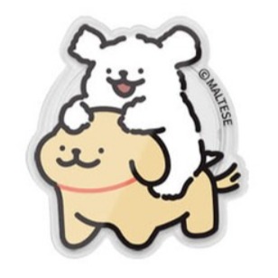 몰티즈 맥세이프 그립 톡 아크릴 에폭시 스마트톡 거치대 9,200원