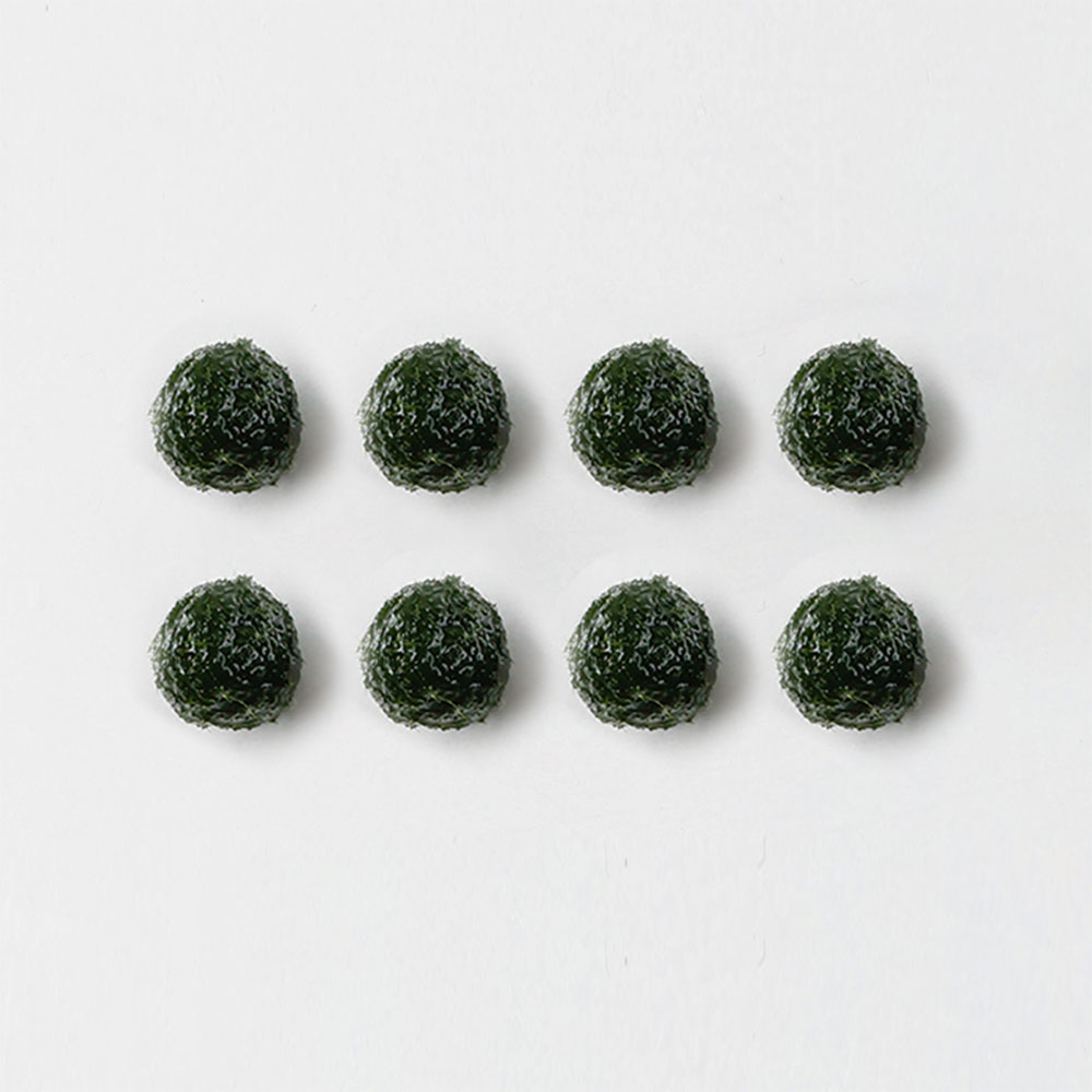 미니가든 마리모 단품 S (단품x8개) 30,720원