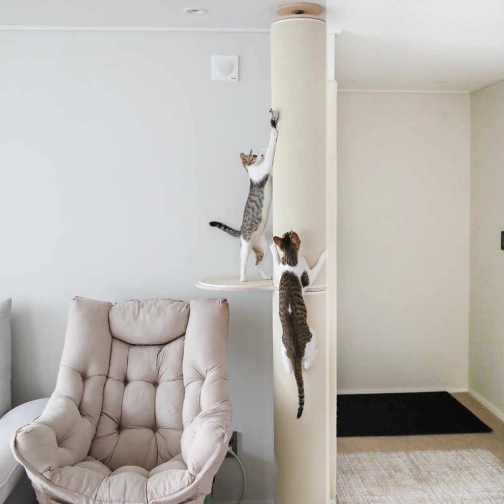 캣트럴파크 고양이 수직 스크래쳐 원목 캣타워 캣폴 본능적타워 2단 발판1개 226cm-245cm, 1세트, 아이보리 219,000원