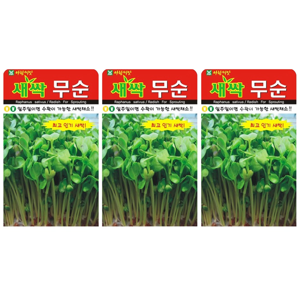 새싹무순 씨앗 (합 90g) 새싹씨앗 새싹채소 무순, 3개 8,980원