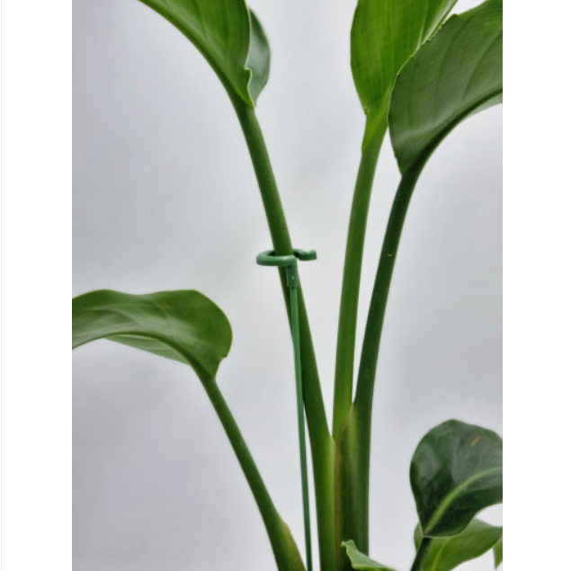 바코젤 화분 원예 회전식 지지대 370mm 14,500원